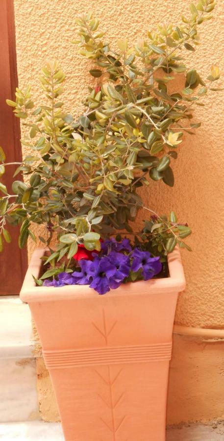 Elegant And Comfortable Apartment In The City Center Ermoupoli Exterior foto